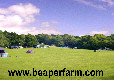 Picture of Beaper Farm Caravan & Camping Site, Isle of Wight Picture of Beaper Farm Caravan & Camping Site, Isle of Wight