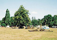 Picture of Theobalds Park Camping and Caravanning Club Site, Hertfordshire