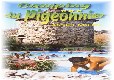 Picture of Le Pigeonnier, Lot Picture of Le Pigeonnier, Lot