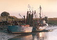 Picture of Holivans, Lincolnshire Picture of Holivans, Lincolnshire