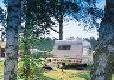 Picture of The Sandringham Estate Caravan Club Site, Norfolk Picture of The Sandringham Estate Caravan Club Site, Norfolk