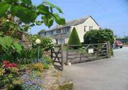 Picture of Trelawne Cottage Gardens, Cornwall