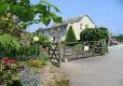 Picture of Trelawne Cottage Gardens, Cornwall Picture of Trelawne Cottage Gardens, Cornwall
