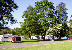 Picture of Morn Hill Caravan Club Site, Hampshire, South East England Picture of Morn Hill Caravan Club Site, Hampshire, South East England