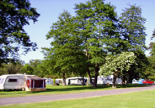 Picture of Morn Hill Caravan Club Site, Hampshire, South East England