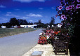 Picture of Morn Hill Caravan Club Site, Hampshire, South East England