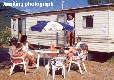 Picture of The Hawthorns Caravan Park, East Riding Yorkshire Picture of The Hawthorns Caravan Park, East Riding Yorkshire
