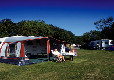 Picture of Northbrook Farm Caravan Club Site, West Sussex, South East England Picture of Northbrook Farm Caravan Club Site, West Sussex, South East England