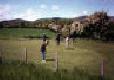 Picture of Allt-Gymbyd Caravan Park, Flintshire Picture of Allt-Gymbyd Caravan Park, Flintshire