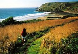 Picture of Camping Le Grand Large, Manche