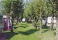 Picture of Lemonford Caravan Park, Devon
