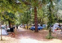 Picture of Miramar, Var Picture of Miramar, Var