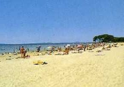 Picture of Miramar, Var Picture of Miramar, Var