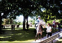 Picture of Folkestone Racecourse Caravan Club Site, Hampshire