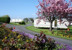 Picture of Brook Lane Caravan Park, West Sussex, South East England