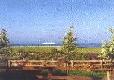 Picture of Ballyloughane Caravan and camping Park, Galway Picture of Ballyloughane Caravan and camping Park, Galway