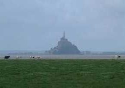 Picture of Les Coques d'Or, Manche Picture of Les Coques d'Or, Manche