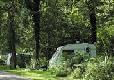 Picture of Woodland Caravan & Camping Site, Gloucestershire Picture of Woodland Caravan & Camping Site, Gloucestershire