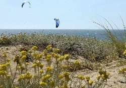 Picture of Camping l'Ocean, Vendée Picture of Camping l'Ocean, Vendée