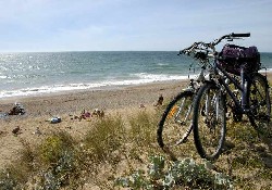 Picture of Camping l'Ocean, Vendée Picture of Camping l'Ocean, Vendée