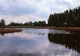 Picture of Little Ranch, Cambridgeshire Picture of Little Ranch, Cambridgeshire