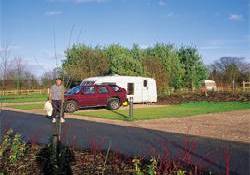 Picture of Top Lodge Caravan Club Site, Lincolnshire Picture of Top Lodge Caravan Club Site, Lincolnshire