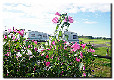 Picture of New Farm Caravan Park, Cheshire, Central North England Picture of New Farm Caravan Park, Cheshire, Central North England
