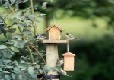 Picture of Foggy Bottom Holiday Park, Powys Picture of Foggy Bottom Holiday Park, Powys