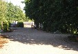 Picture of Stonham Barns Caravan & Camping Park, Suffolk Picture of Stonham Barns Caravan & Camping Park, Suffolk