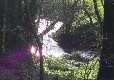 THE RIVER BRIT
