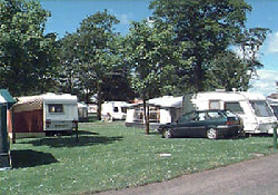 Picture of Woodlands Caravan Park, Angus Picture of Woodlands Caravan Park, Angus