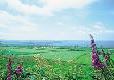Picture of Seaview Caravan Club Site, Northumberland