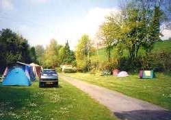 Picture of Ashburton Caravan Park, Devon