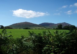Picture of Trallwyn Holiday Park, Gwynedd