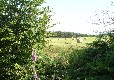 Picture of Honeybridge Park, West Sussex