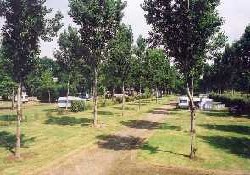 Picture of Camping Parc Merlin l'Enchanteur, Morbihan Picture of Camping Parc Merlin l'Enchanteur, Morbihan