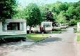 Picture of Beech Grove Caravan and Camping Park, Kerry Picture of Beech Grove Caravan and Camping Park, Kerry