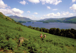 Picture of Derwentwater Camping and Caravanning Club Site, Cumbria Picture of Derwentwater Camping and Caravanning Club Site, Cumbria