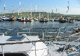 Picture of Sir Roger's Caravan and Camping Park, Kerry Picture of Sir Roger's Caravan and Camping Park, Kerry