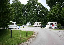 Picture of Strid Wood Caravan Club Site, North Yorkshire, North of England