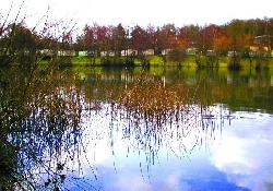 Picture of Holmbush Caravan Park, West Sussex