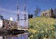 Picture of Oakbank Lakes, Cumbria