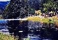 Picture of Camp Municipal La Gandole, Ardèche Picture of Camp Municipal La Gandole, Ardèche