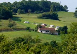 Whole Site