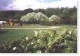 Picture of Hillhead Caravan Park, Aberdeenshire
