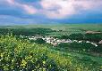 Picture of Steamer Quay Caravan Club Site, Devon Picture of Steamer Quay Caravan Club Site, Devon
