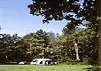 Picture of The Covert Caravan Club Site, Norfolk