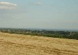Picture of Ecclesden Farm Campsite, West Sussex Picture of Ecclesden Farm Campsite, West Sussex