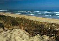 Picture of La Tabardiere - Sites & Paysages, Loire-Atlantique