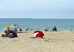 Picture of La Tabardiere - Sites & Paysages, Loire-Atlantique